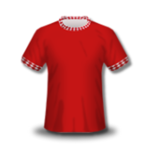 Bristol City Kit