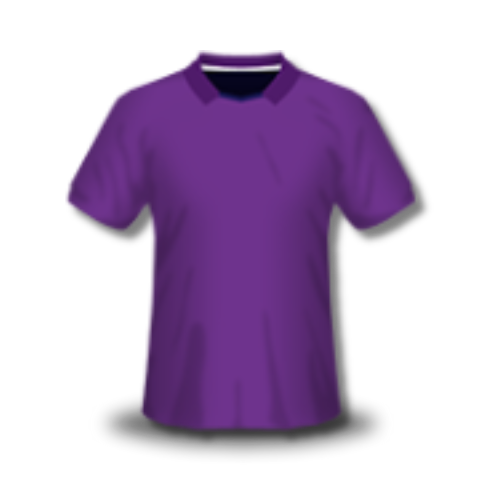 Fiorentina Kit