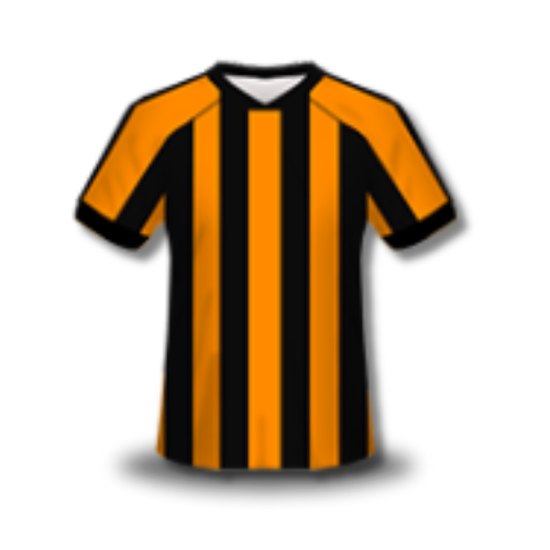 Hull City Kit