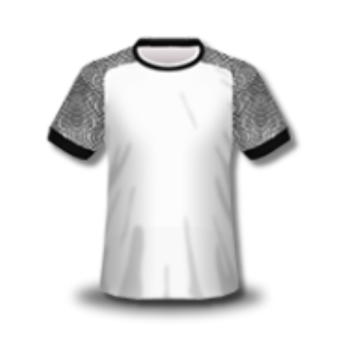 Swansea Kit