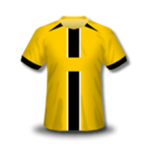 BSC Young Boys Kit